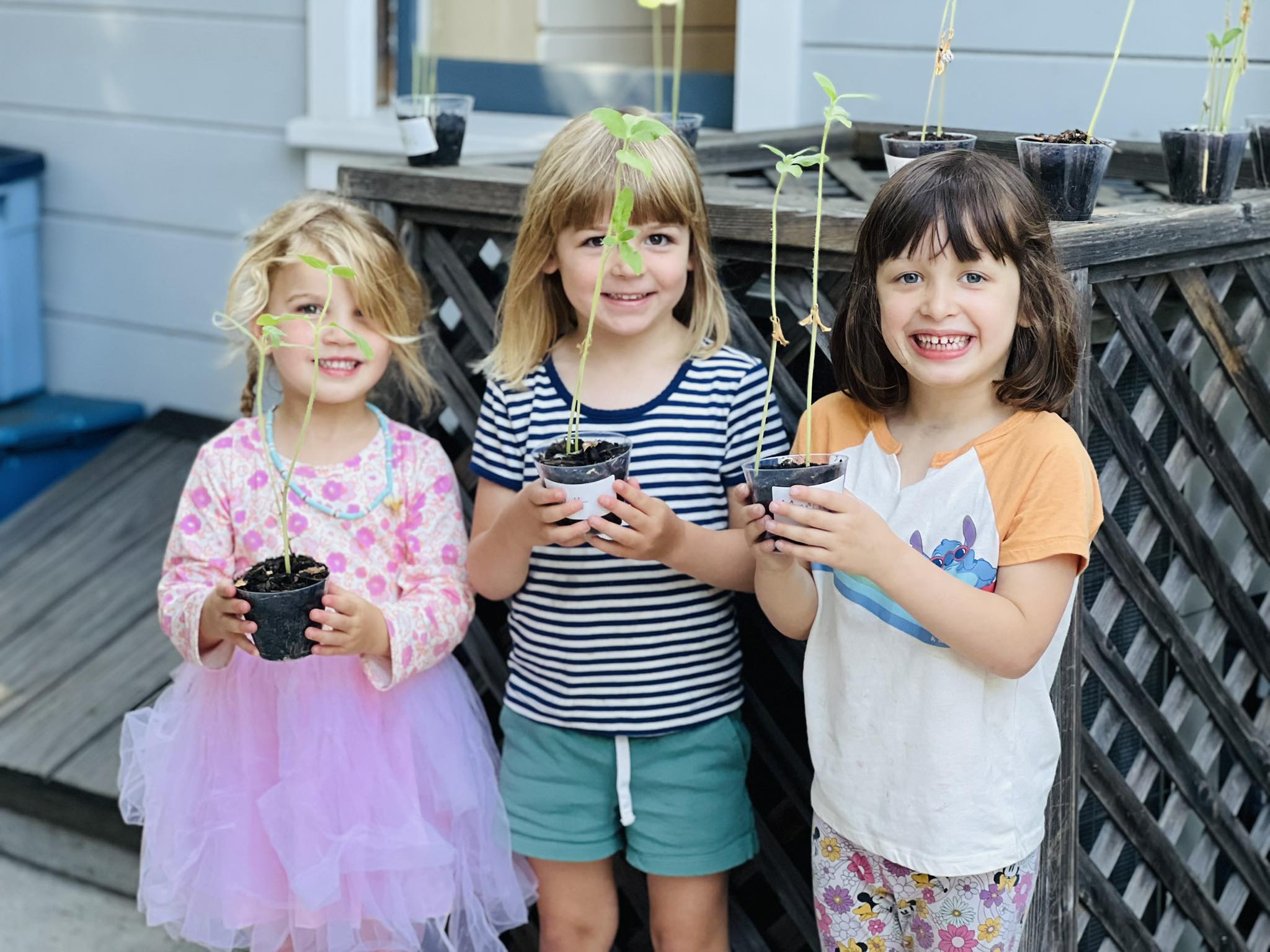 Young Inventors Montessori